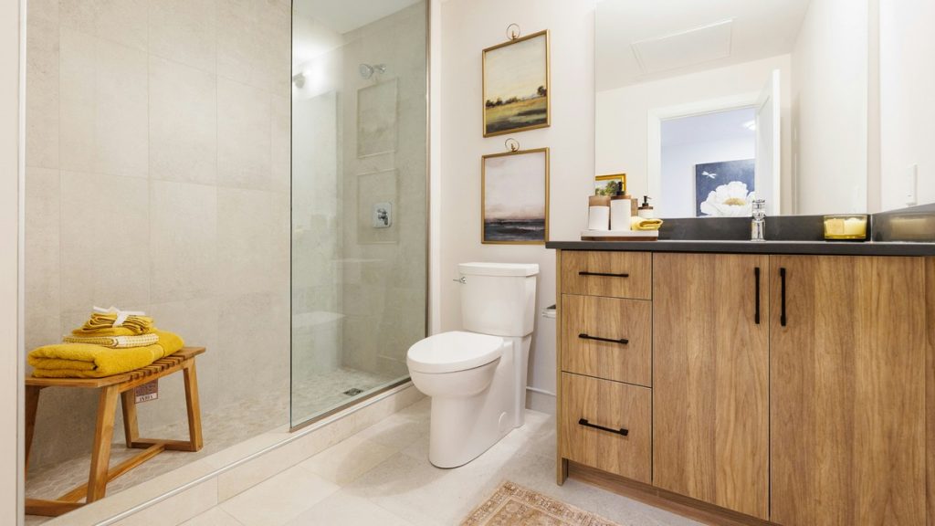 Bathroom Cleaning
